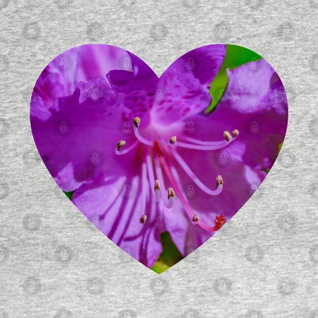 Purple Macro Flower Photograph Heart by love-fi